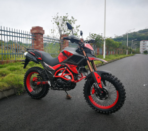 FUEGO <strong>TEKKEN</strong> 250 Cheap for Sale <strong>250cc</strong> All Terrain <strong>Motorcycle</strong> 11190125 - Product Image 4