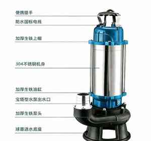 <span class=keywords><strong>Pompe</strong></span> à eau usée électrique submersible à haute pression en acier inoxydable 50WQD10-10-1.1F <span class=keywords><strong>pour</strong></span> fosses septiques - Product Image 4