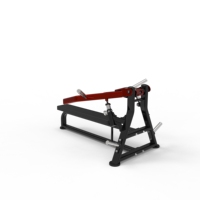 Machine de musculation isolalette professionnelle pour développements musculaires, équipement de gym robuste, personnalisable avec logo OEM