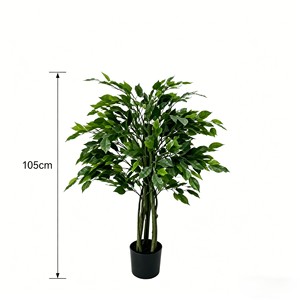 Majestuoso bonsái de árbol de banyan preservado con raíces aéreas para rincón zen y acento de paisaje tropical - Product Image 2