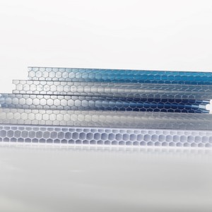 <span class=keywords><strong>Serre</strong></span> en <span class=keywords><strong>polycarbonate</strong></span> durable à double couche avec un design moderne. Les matériaux de construction sont fabriqués à partir de panneaux alvéolaires - Product Image 5