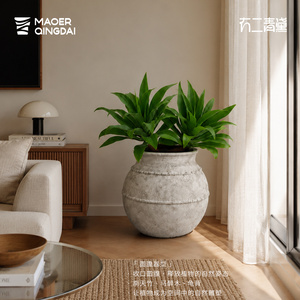 Maceta grande de pie para plantas, para sala de estar, maceta decorativa para interiores. - Product Image 4