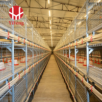 Cage à poulets de chair à 3 niveaux de type H avec plancher en plastique à lattes, alimentation et abreuvement automatiques, système d'évacuation du fumier, mangeoire pour poulets de chair, abreuvoir à tétine, OEM