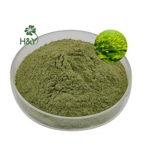 Top Quality Price Light Sinoland Green Seaweed Green Seaweed Extract