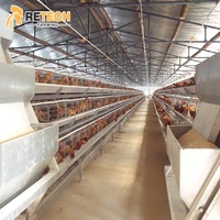 Conception moderne de plan de ferme avicole avec cage automatique pour poulets, construction en acier pour poules pondeuses et poulets de chair