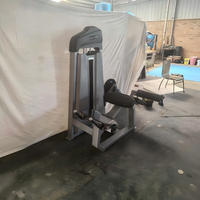Machine professionnelle de musculation des jambes 2 en 1 pour usage commercial en salle de sport, extension et flexion des jambes