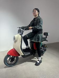 Motocicleta de Dos Ruedas y 500W para Movilidad Doméstica, Motocicleta para el Hogar - Product Image 6