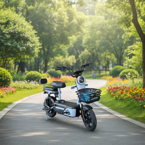 Vélos Électriques 2026 Cycle Man Best Seller 350W & 500W, Cadre en Acier, 48V, Type Pédalier Moped, Électroniques Intelligents - Product Image 5