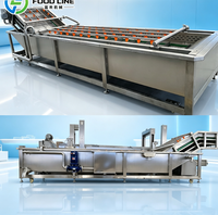 Automatische temperatuurregeling ozonwater voor fruitdesinfectie bubbelwasmachine