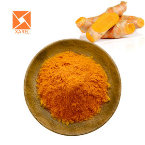 Großhandel Raw Bulk Wild Kurkuma Pulver Preis Bio Pure Curcuma Longa Wurzel extrakt Curcumin Pulver - Product Image 3