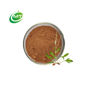 Free Sample for Testing Best Quality Natural Sheep <strong>Sorrel</strong> Extract / <strong>Rumex</strong> Acetosella Extract - Product Image 2