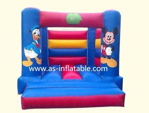 Castillo Inflable Pequeño para Eventos Comerciales, Fondo Fotográfico para Negocios de Alquiler - Product Image 4