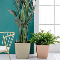 Ensemble de 3 pots à plantes en plastique auto-arrosants avec indicateur de niveau d'eau, finition laquée, pot carré conique brillant pour la maison et le jardin