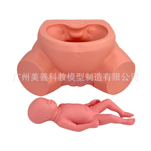 Modèle pédagogique d'accouchement ; Modèle avancé d'enseignement et de formation en dystocie ; Obstétrique et gynécologie, accouchement et dystocie en sage-femme - Product Image 2