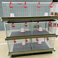 Nouvelle cage à batterie de type H pour l'élevage de poulets de chair avec système de fumier manuel
