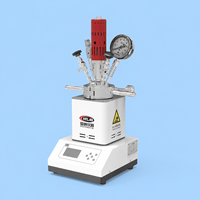 Vase de réaction chimique multifonctionnel de laboratoire série HT-YJ, structure à ouverture rapide avec condenseur à poignée et ensemble manomètre