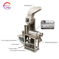 Extracteur de jus industriel à vis avec broyeur en acier inoxydable 304 pour pommes, ananas, tomates, fruits et légumes