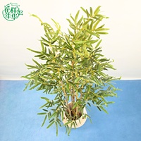 Bonsaï artificiel polyvalent en bambou, 150 cm, en pot, plante réaliste pour la décoration intérieure et extérieure, accent de verdure pour la maison et le jardin