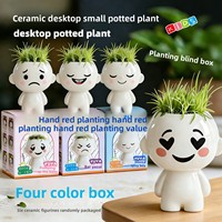 Kit DIY de culture de plantes en pot avec figurine en céramique, boîte mystère esthétique pour enfants, cadeau d'observation de plantes, décoration créative