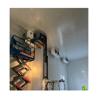 Chine Manufacture Mousse Toit Mur Panneau De Stockage À Froid PU PIR Chambre Froide Polyuréthane Panneau D'isolation Conteneur Moteur 100/150/200mm