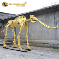 MY DINO AS-072 Squelette d'animal grandeur nature en or, squelette de mamouth