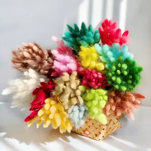 Fleur décorative queue de lapin séchée naturelle, herbe de lagus Ovatus, fleur de Pampas séchée - Product Image 1