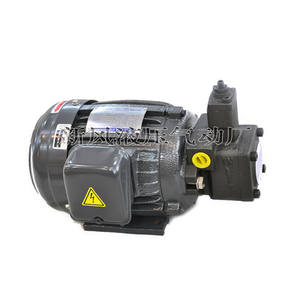 Pompe à huile à arbre interne triphasée 380V/220V 0,75KW/1,5KW/2,2/3,75KW+VP20 VP30FA3 Pompes hydrauliques - Product Image 1