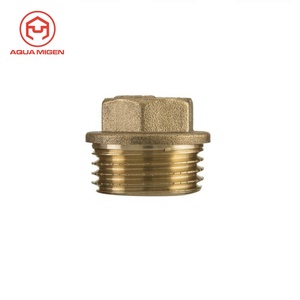 Brass 3/8 1/2 3/4 1 Inch Ống Tẩy Trống Hex Nam Ống Cuối - Product Image 1