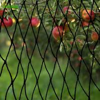Filet de protection anti-oiseaux en polyester, maille de 2 cm, robuste, noir ou blanc, avec service de découpe pour usage agricole et jardinage