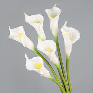 Nueva llegada elegante blanco verde PU simulación decorativa Zantedeschia <span class=keywords><strong>Aethiopica</strong></span> Artificial imitación flor arreglo Floral uso - Product Image 1