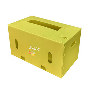 Contenedor de Plástico PP para Transporte de Frutas, Impermeable, Hueco, Plegable, Apilable, para Almacenamiento de Verduras - Product Image 3