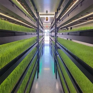 Système de culture hydroponique commercial intelligent et automatique clé en main pour conteneurs maritimes, destiné aux légumes et aux cultures fourragères - Product Image 2
