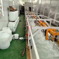 Ligne de revêtement par électrophorèse émaillée fabriquée en Chine pour le traitement des surfaces métalliques KTL