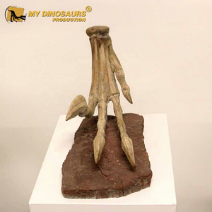 Dinosaurio Educativo My Dino DS055, Fósil de Dinosaurio Prehistórico, Modelo de Esqueleto de Velociraptor con Garras, en Venta - Product Image 2