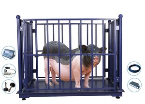 碳钢汽车称重秤动物牲畜称重秤动物秤2000千克 - Product Image 6