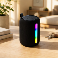 Haut-parleur sans fil 5.3 avec éclairage d'ambiance RGB, caisson de basses portable 5W, étanche à la poussière pour voiture, extérieur, maison, bureau, mini