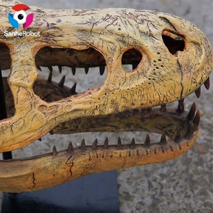 Fibra <span class=keywords><strong>de</strong></span> vidrio dinosaurio fósil tamaño Real dinosaurio esqueleto réplica modelo precio para <span class=keywords><strong>Parque</strong></span> <span class=keywords><strong>de</strong></span> Atracciones - Product Image 6