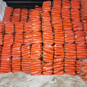 Tươi Cà Rốt Bán Buôn New Cà Rốt Crop Cao Cấp Lớp Chất Lượng Cà Rốt Giá Rẻ Giá Tự Nhiên Khỏe Mạnh Rau - Product Image 5