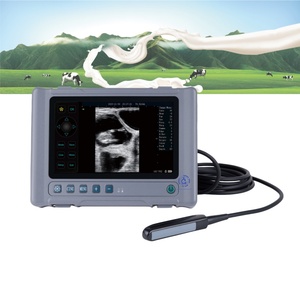 Ecógrafo Veterinario Portátil <span class=keywords><strong>de</strong></span> Mano con Sonda Rectal Lineal a <span class=keywords><strong>Precio</strong></span> Económico para Uso en Equinos y Bovinos - Product Image 1