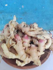 Raíces de jengibre de París seleccionadas a mano, con piel lisa y pulpa crujiente, para el mercado fresco y la elaboración de jugos. - Product Image 5