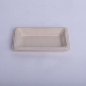 Assiettes jetables écologiques biodégradables en bagasse de canne à sucre, plateaux imperméables pour l'emballage des légumes, de la viande et des voyages - Product Image 6