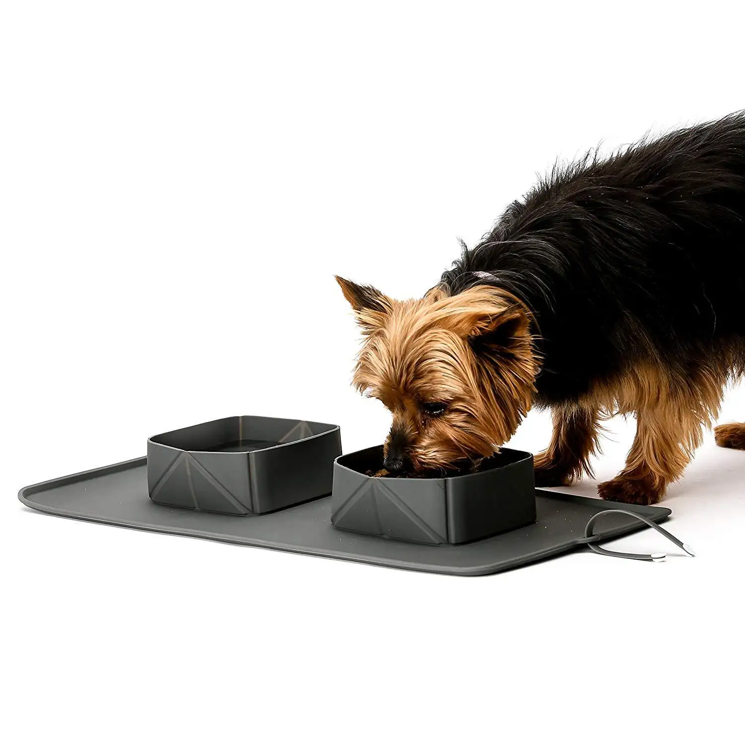 Sıcak satış 2 in 1 katlanabilir silikon kaymaz seyahat taşınabilir köpek kedi maması su besleyiciler hayvan mama kabı