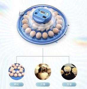 20/24/36/56/<span class=keywords><strong>96</strong></span>/112 trứng qianqin Máy ấp trứng gà lồng ấp trứng Gia cầm hoàn toàn tự động - Product Image 1