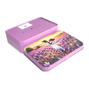 Bán Buôn Sliver Nhỏ Hình Chữ Nhật Kim Loại Thuốc Lá Quà Tặng Kẹo Bạc Hà Bao Bì Bản Lề <span class=keywords><strong>Mini</strong></span> Hộp Thiếc/Có Thể Cho Kẹo - Product Image 5