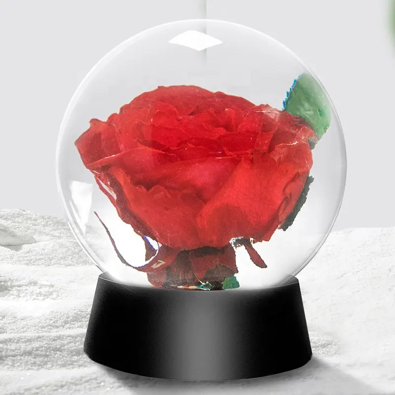 Résine naturelle, vraies roses rouges conservées, fleurs séchées décoratives, boule de globe de fleur en résine avec base noire, roses d'éternité de noël