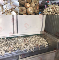 Nouveaux modèles séchoir à bande à air chaud séchoir à café vert grains de mungo machine à sécher les noix