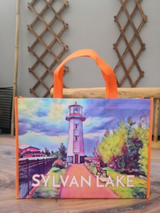 Customized Logo Eco-Friendly Reusable Supermarket Grocery Shopping Bag <b>Folding</b> Non-Woven Cloth Bag for Promotions - Product Image 4