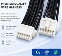 Cableado con Conector GH XH y Bloqueo, Arnés de Cables de 2P, 3P, 4P, 5P, 6P, 8P, 10P para Equipos Industriales y Domésticos Inteligentes