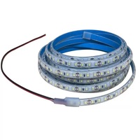 Bande lumineuse LED étanche pour extérieur 24V COB IP68, flexible, recouverte de silicone, dimmable, 3000K/4000K, IRC 80, durée de vie 5000 heures