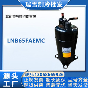 Compresseur Inverter HYZL LNB42FSCMC 43-200V 13980W pour Équipement de Réfrigération - Product Image 5
